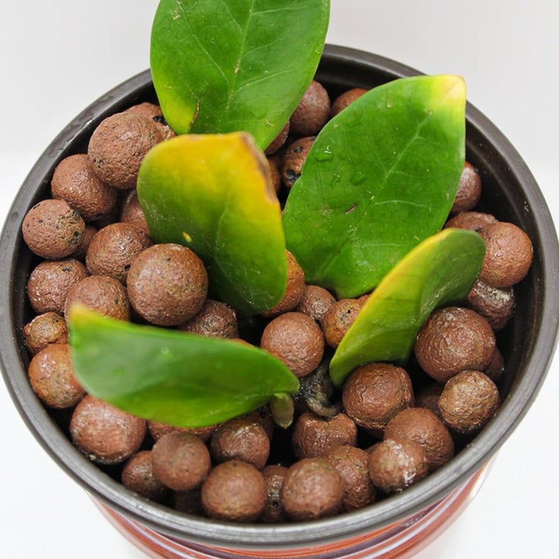 Halatool 2 LB Natural Expanded Clay Pebbles for Plants 4mm-16mm Clay Balls 100% Organic Hydroton Leca Balls for Indoor Plants Hydroponic Growing Gardening Orchids Drainage Decoration Aquaponics - Image 4